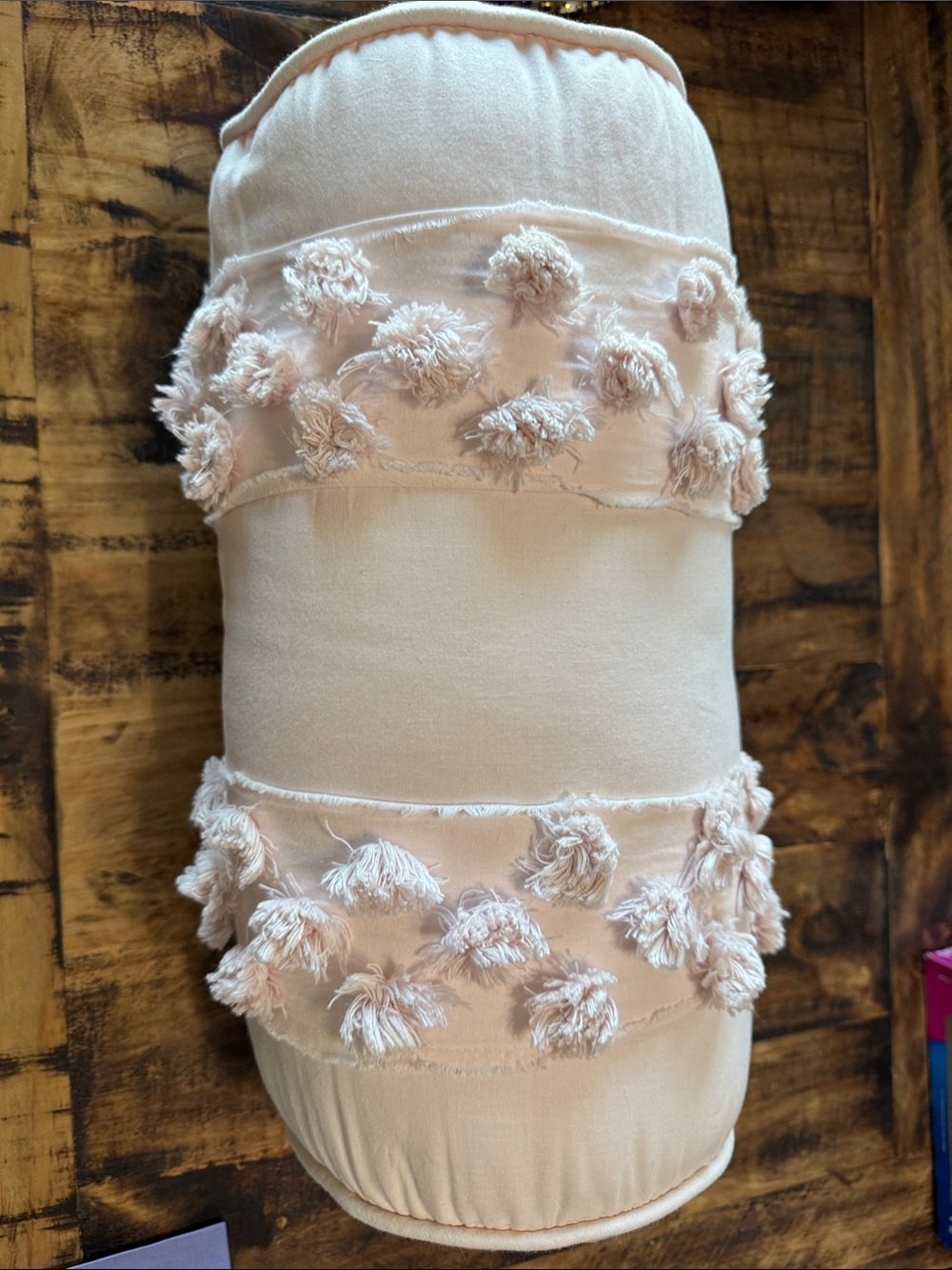 Pottery Barn Teen Blush Pink Tassel Bolster Pillow